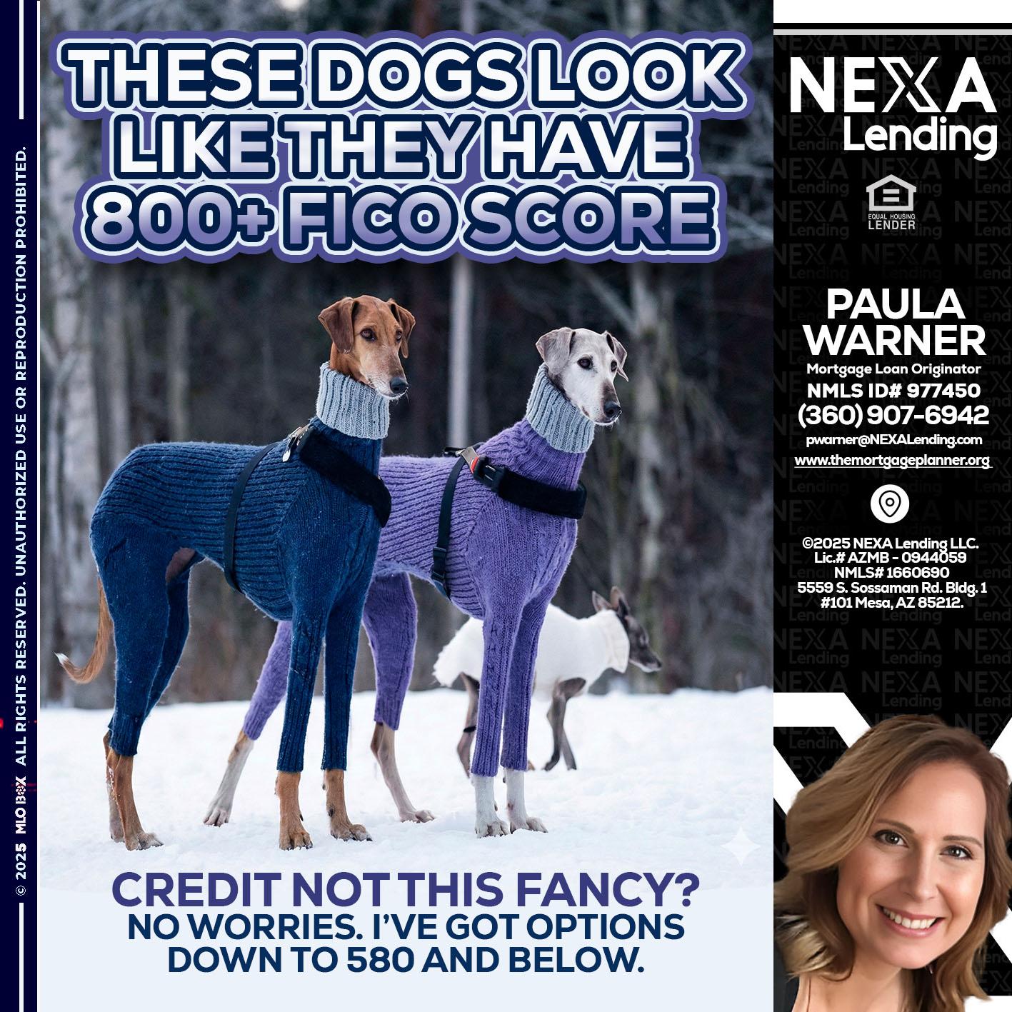 THESE DOGS LOOK - Paula Warner -Mortgage Loan Originator